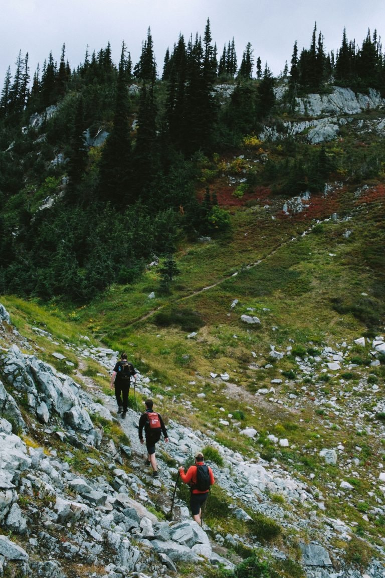 Essential Skills for Multi-Day Hiking: Navigation, Pacing, and Trail Smarts Three hikers with backpacks and trekking poles ascend a steep, rocky mountain trail toward a pine forest.