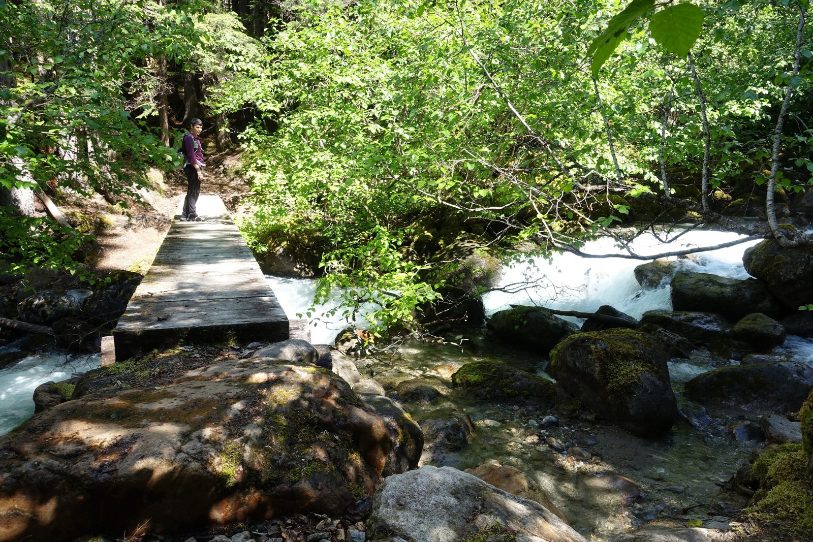 Footbridge over the Taiya River, Chilkoot Trail, Alaska