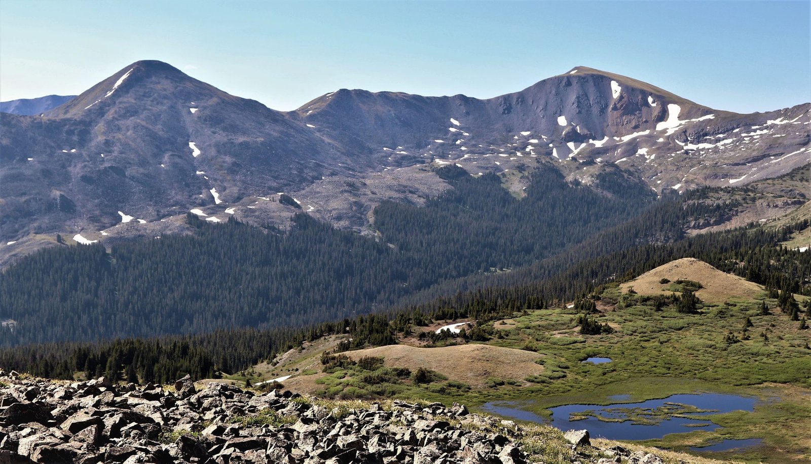 Alpine meadows south of Cottonwood Pass, Collegiate West, Colorado Trail