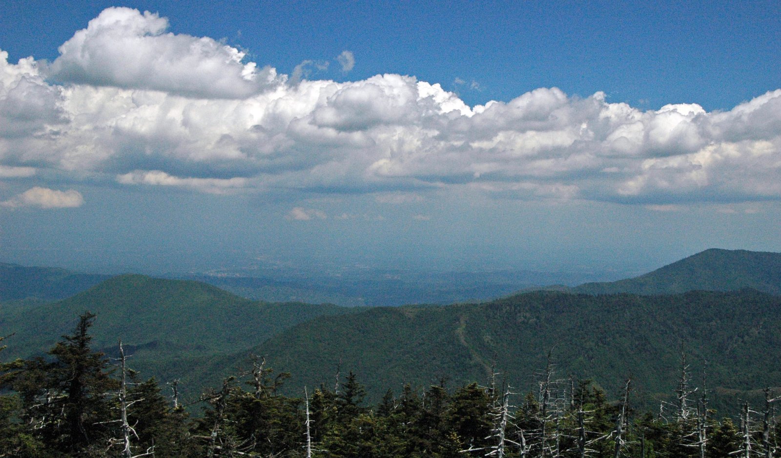 Blue Ridge spruce-fir forest ridgeline, Great Smoky Mountains National Park Appalachian Trail