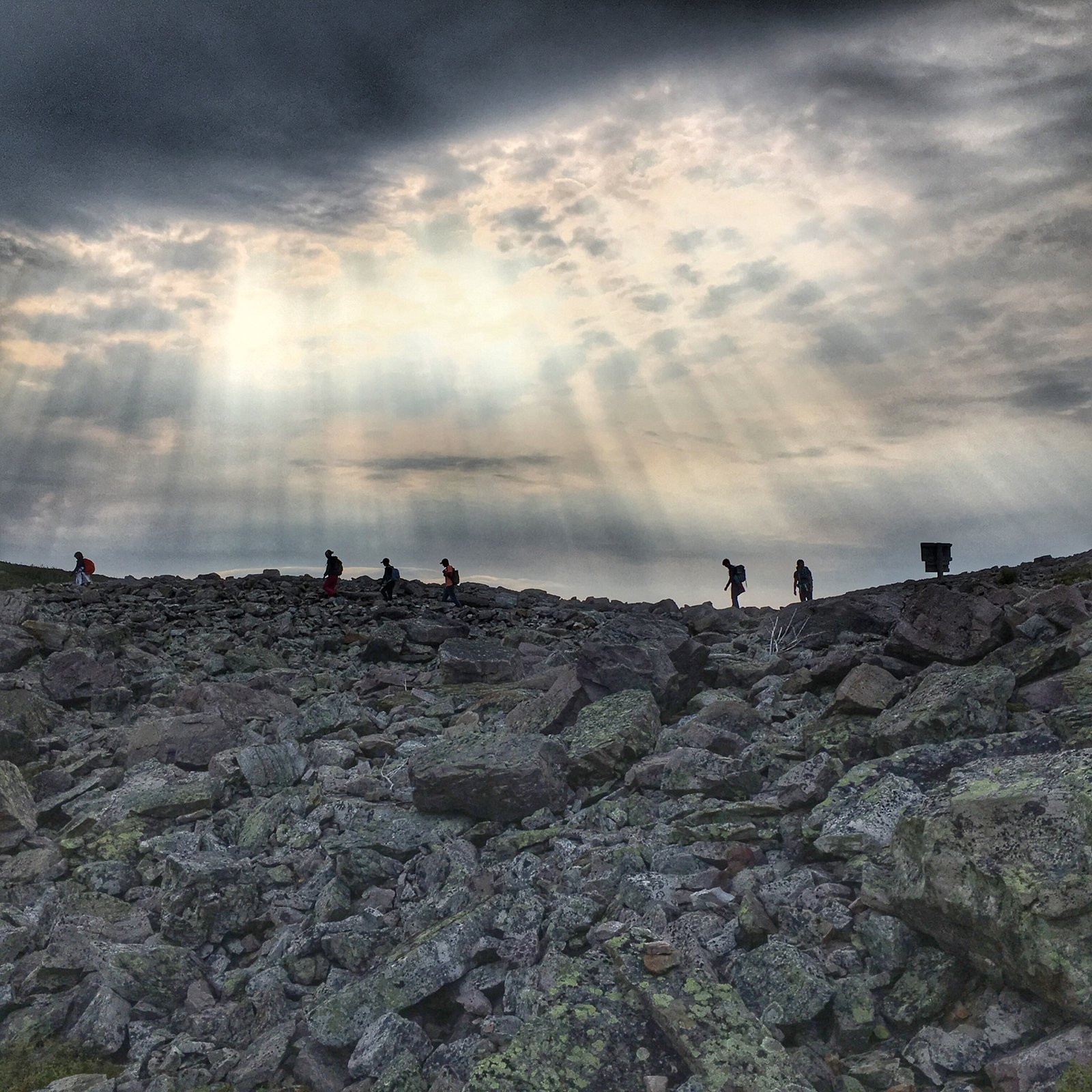 Hiker at the summit of Gros Morne Mountain, Day 4 of the Long Range Traverse