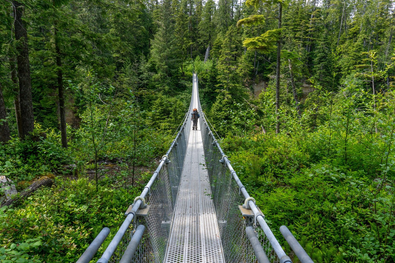 Logan Creek suspension bridge, West Coast Trail day 3, Vancouver Island
