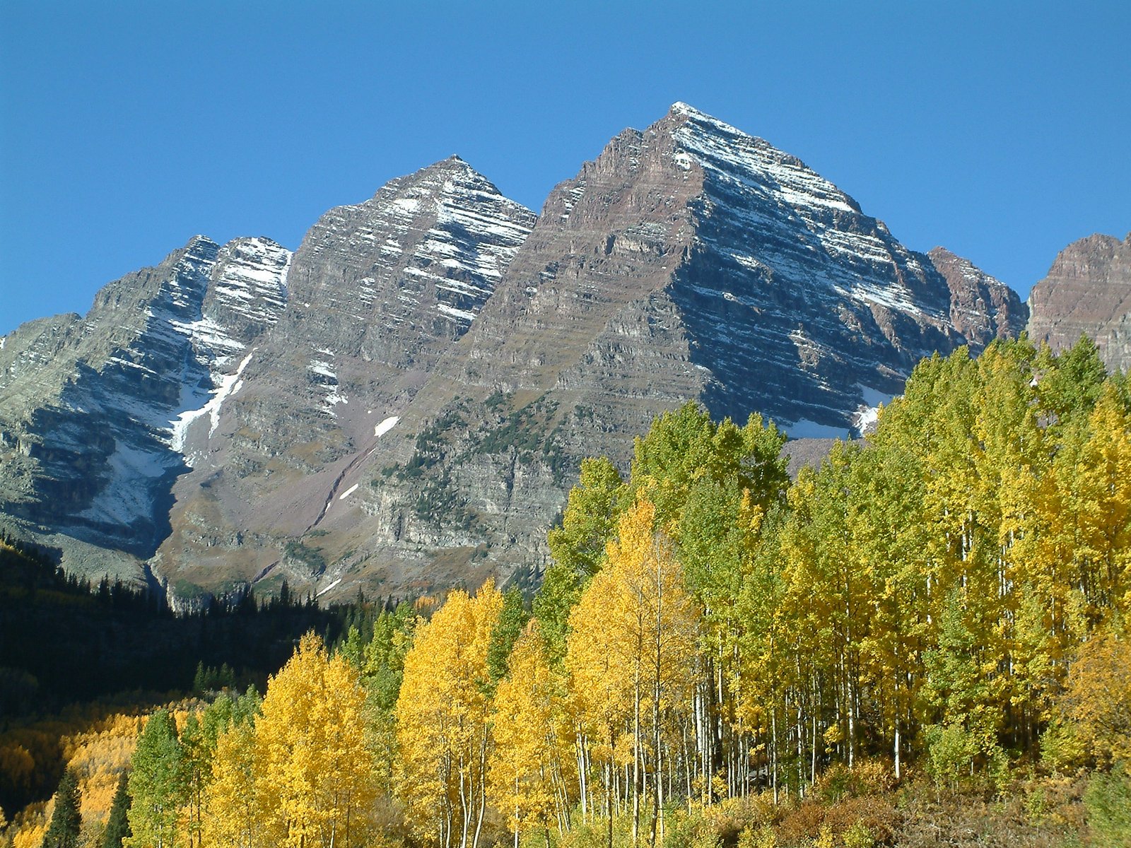 Fall aspen groves below the Maroon Bells on the Four Pass Loop trail