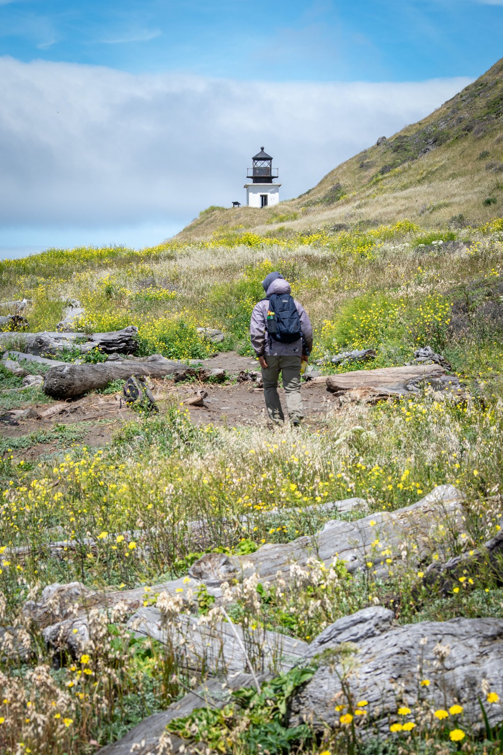 Punta Gorda Lighthouse, Lost Coast Trail day one, California