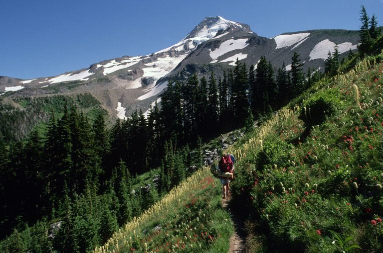 What to Pack for the Timberline Trail (Complete River-Ford Gear List) Backpacker near Elk Cove, Timberline Trail, Mount Hood