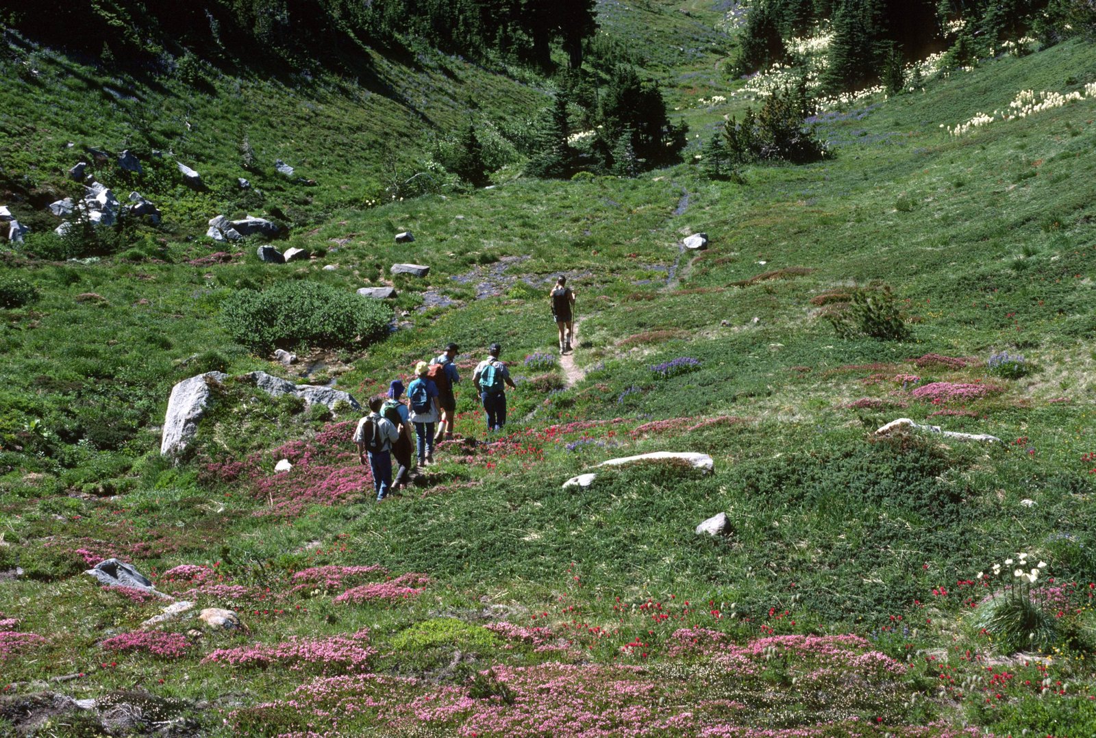 Hikers on the Timberline Trail with Mount Hood behind them, Oregon