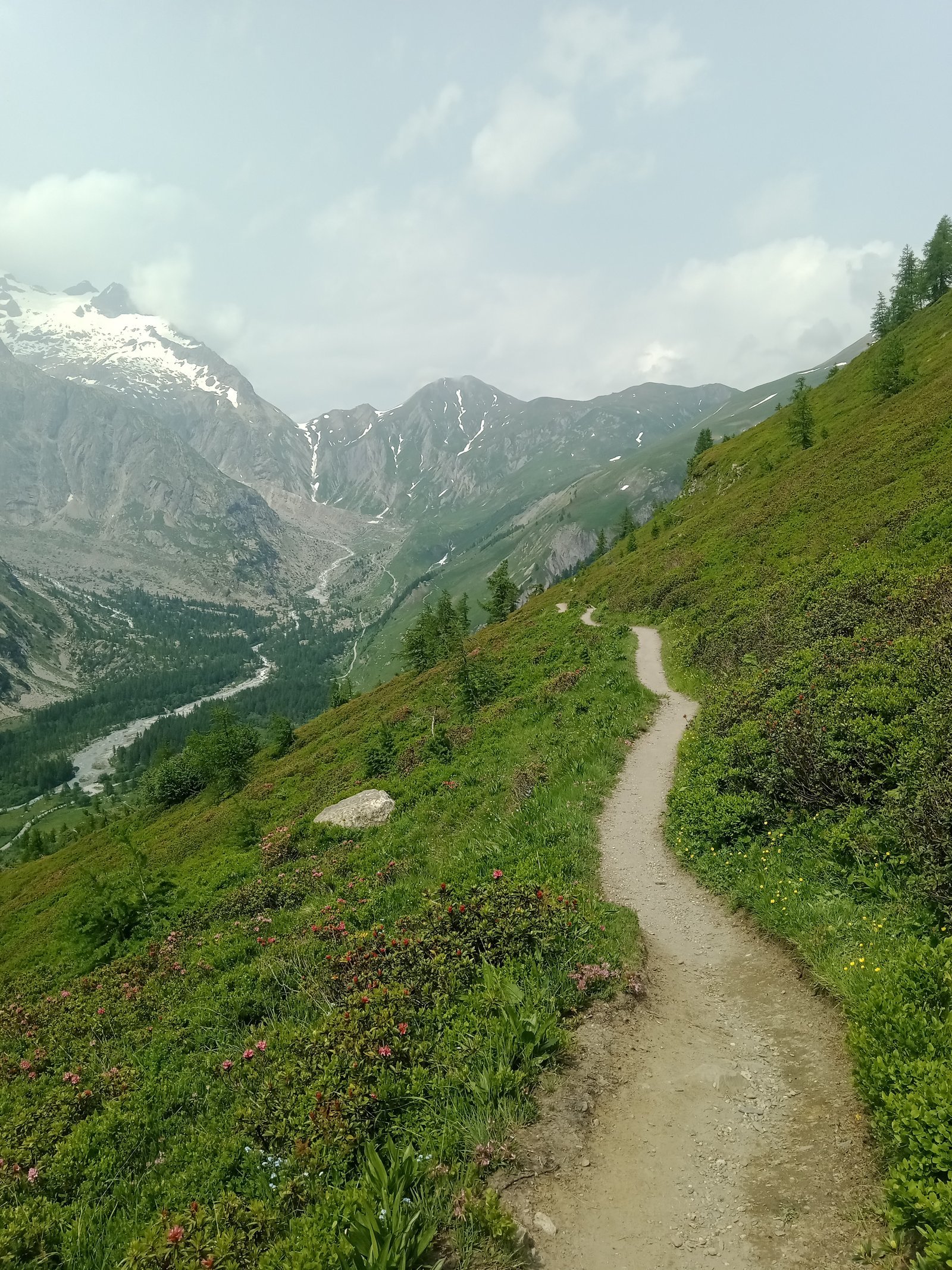 Tour du Mont Blanc trail through Val Ferret, Italy