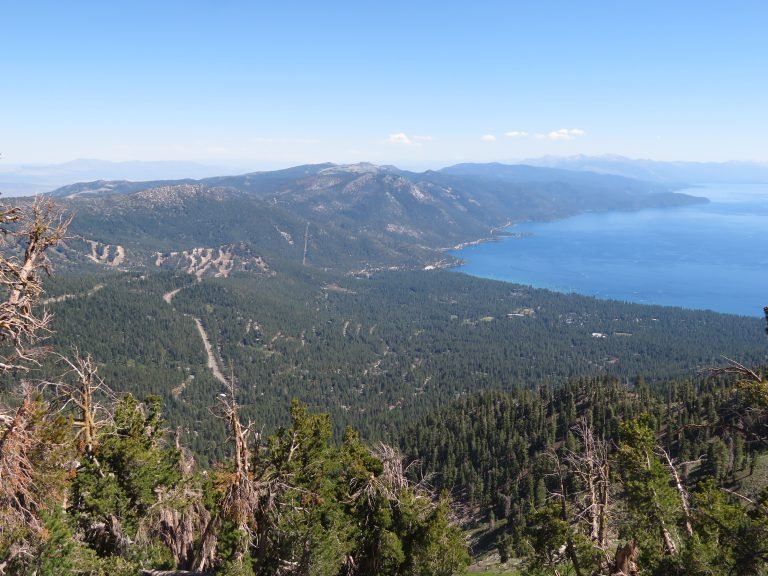 Open ridge terrain on the Tahoe Rim Trail's Nevada side, near Mount Rose