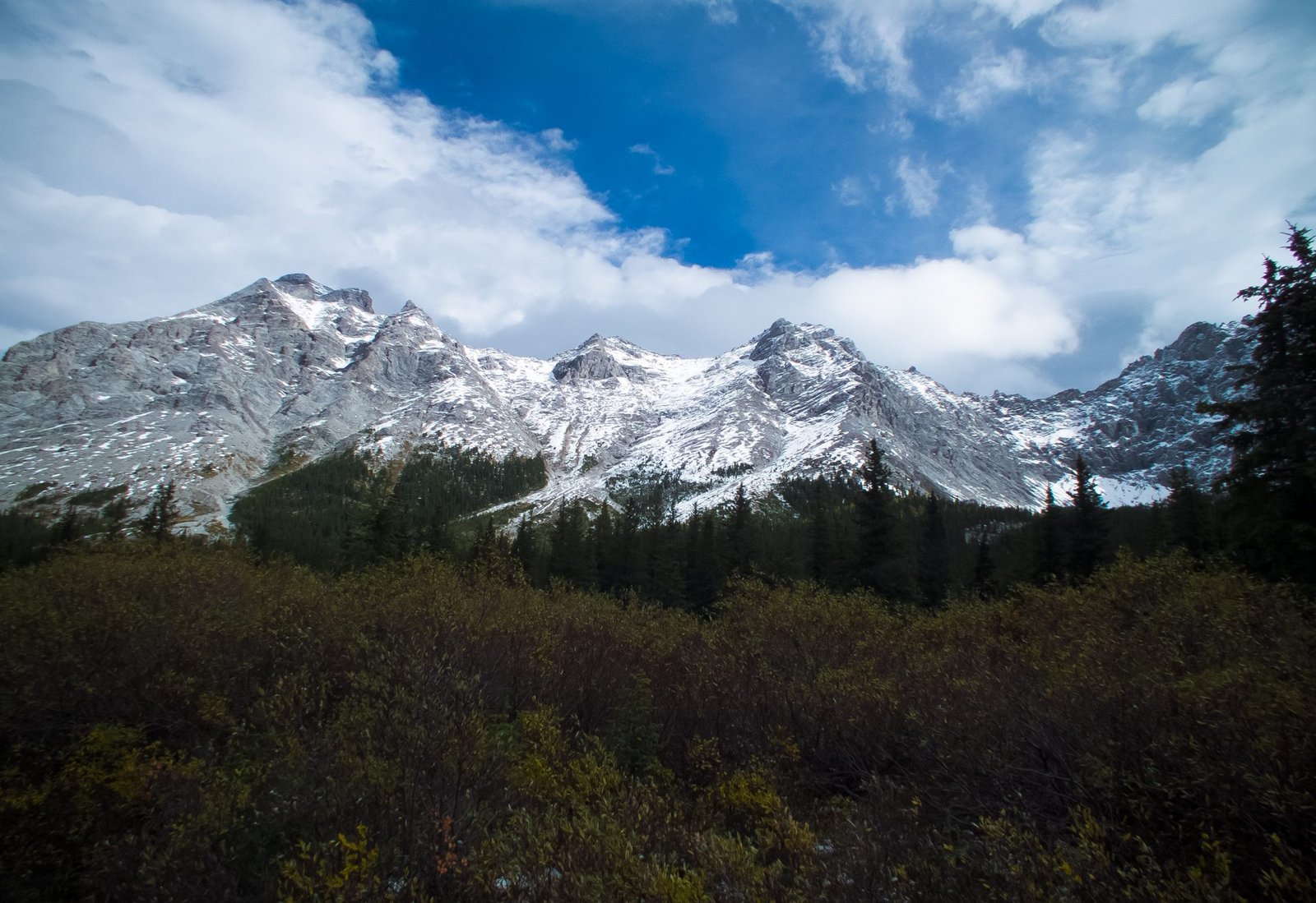 Backcountry hiking trail in Peter Lougheed Provincial Park, Kananaskis Country