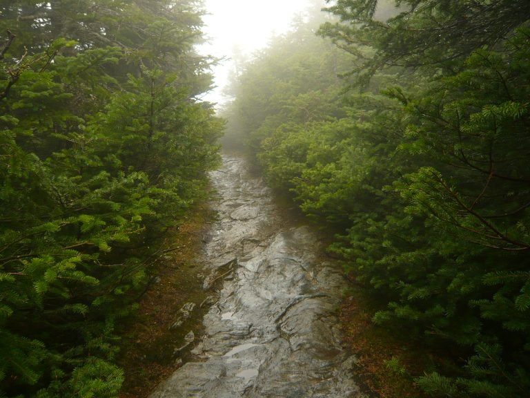 The Long Trail crossing Mount Mansfield, Vermont, above treeline on the Green Mountains ridgeline