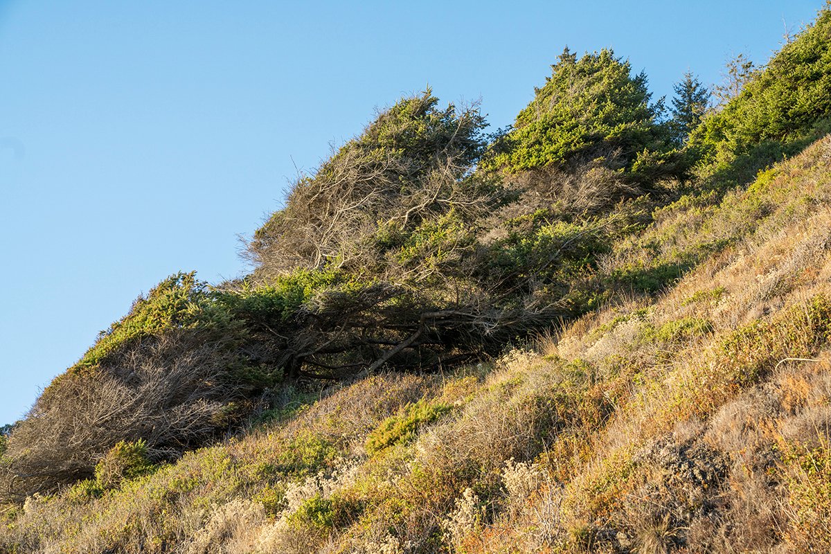 Boulder field and sand terrain on the Lost Coast Trail, California