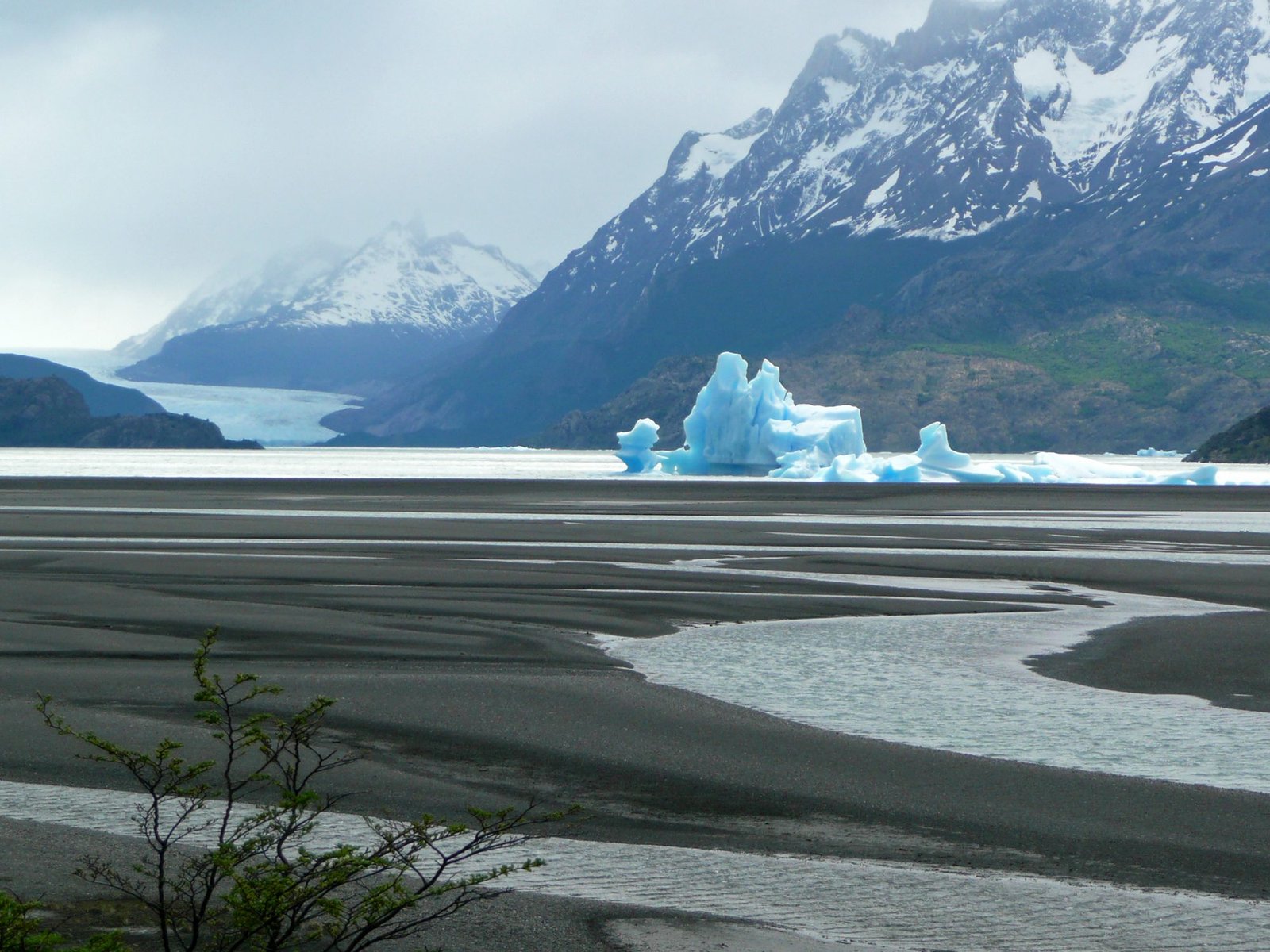 Grey Glacier and icebergs on Lago Grey, seen from the Southern Patagonian Ice Field side of the O Circuit