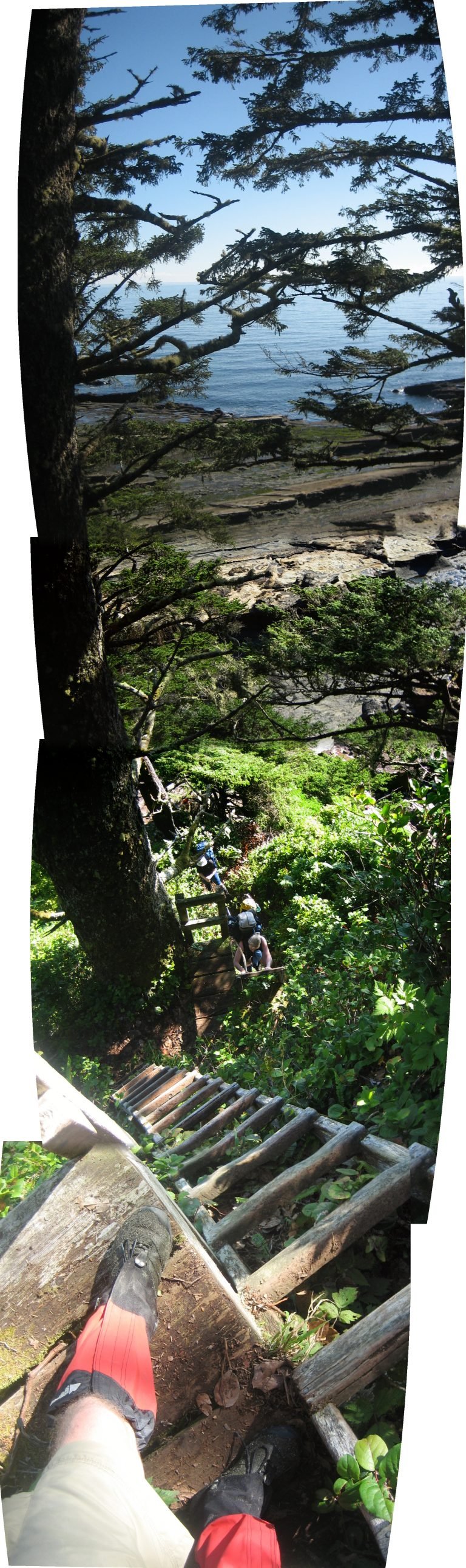 Hiker climbing a ladder on the West Coast Trail, Vancouver Island